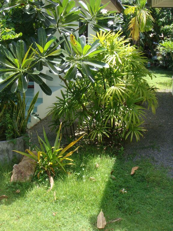 Baan Kuasakul Resort Menam-part Kültér fotó